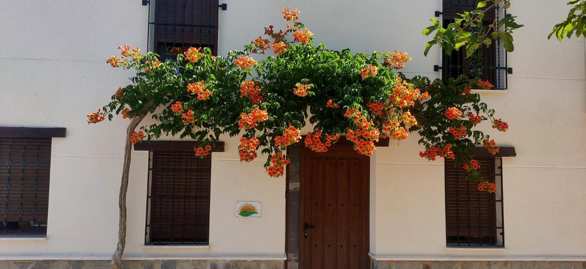 El Molino De Alatoz Villa ภายนอก รูปภาพ